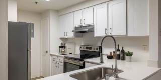 The Docks at Redmond Lakeview Gallery 6