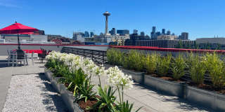 Queen Anne Flats Gallery 20