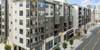 Camden Durham Gallery 33