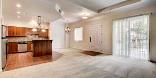 Boca Raton Gallery 28