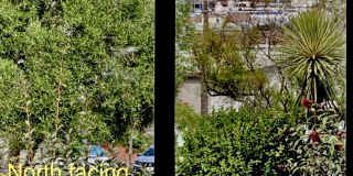 375 Bocana Street Gallery 12