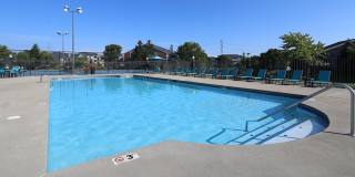 Sterling Lakes Apartments Gallery 19