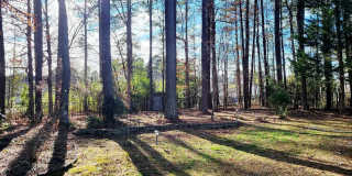 Charming 2BR House in Raleigh Gallery 37