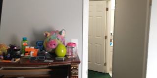 544 Meadow Green Lane - 1 Gallery 10