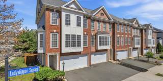 21824 LADYSLIPPER Square Gallery 1
