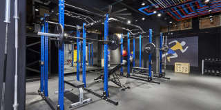 Wave Lakeview Gallery 26