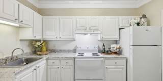 The Paxton Gallery 6