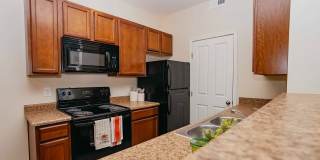 Woods at Perry Lane Gallery 18