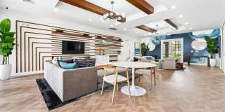 Windsor Coral Springs Gallery 3