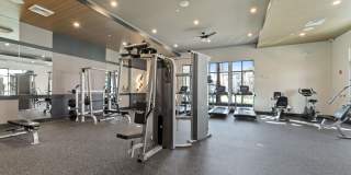 Minneola Hills Apartments Gallery 17