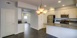 392 Sycamore II 392 Sycamore II Gallery 1