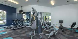 Vintage at Plantation Bay Gallery 24