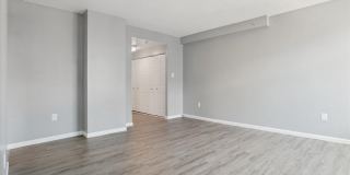 28 ALLEGHENY AVE #806 Gallery 5