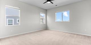4951 Basalt Ridge Cir Gallery 16