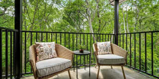 Saddlebrook Apartments Gallery 3