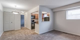 Crain Court Gallery 1