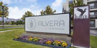 Alvera at The Meadows Gallery 12