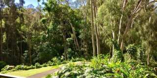 95-269 Waikalani Drive Gallery 7