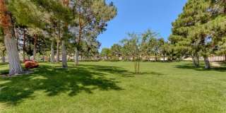 1433 Goldenspur Lane Gallery 39