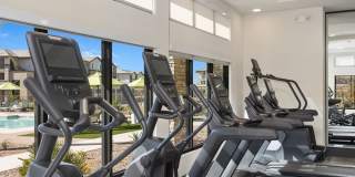 Prose Ascend Gallery 34