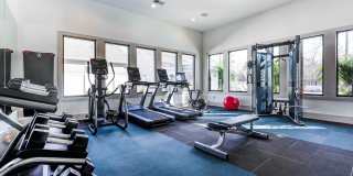 Amavi Sherrills Ford Gallery 20