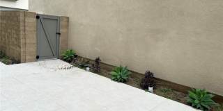 109 Chorus Gallery 20