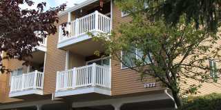 8632 164th Avenue Northeast 8632 164th Avenue Northeast Gallery 11
