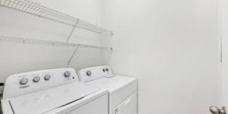 The Paxton Gallery 17