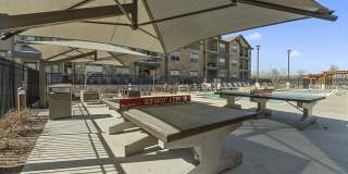 Bell Tower Gallery 20