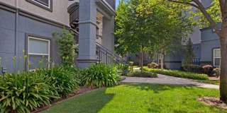 Broadleaf Apartments Gallery 13