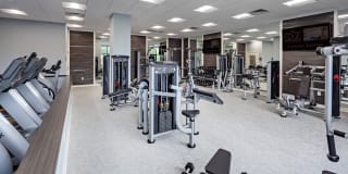 The Edge at Freehold Gallery 16