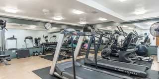 1000 Urlin Avenue Gallery 26