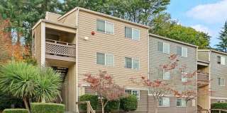 Delridge Crossing Gallery 4