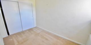 261 LAURISTON Street Gallery 20