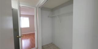 7505 PITCH PINE CIRCLE Gallery 26