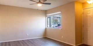 4513 Carter Creek Parkway 7 Gallery 5