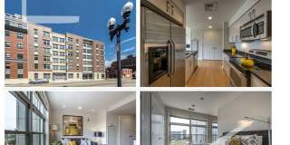 Bright, Renovated 2-bed in the South End Gallery 3