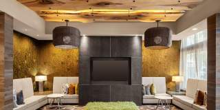 The Frasier Gallery 25