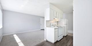 The Canopy Gallery 5