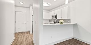 Olympus Carrington Gallery 4