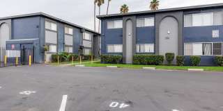 Prospera Village Gallery 37