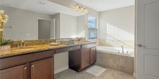 2942 BUCCANEER PALM ROAD Gallery 16