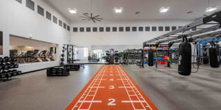 Zone Gallery 4