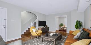 Falkland Chase Gallery 1