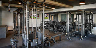 Hangar 44 Gallery 25