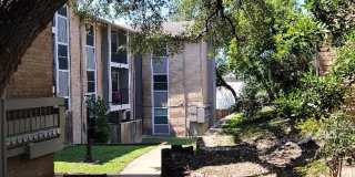 Forest Ridge Gallery 38