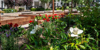 Villas at the Gardens Gallery 56