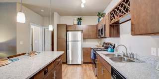 Springs at Round Rock Gallery 4