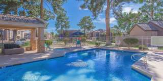 Morrison in Mesa Gallery 13