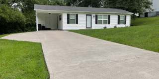 Short term - Clean and tidy 3 bedroom/1 bath near Cherokee Park Gallery 1